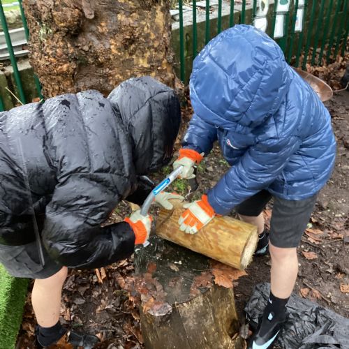 Forest School Spring Term 2026